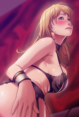 钢之炼金术师 - 兄弟寻找贤者之石